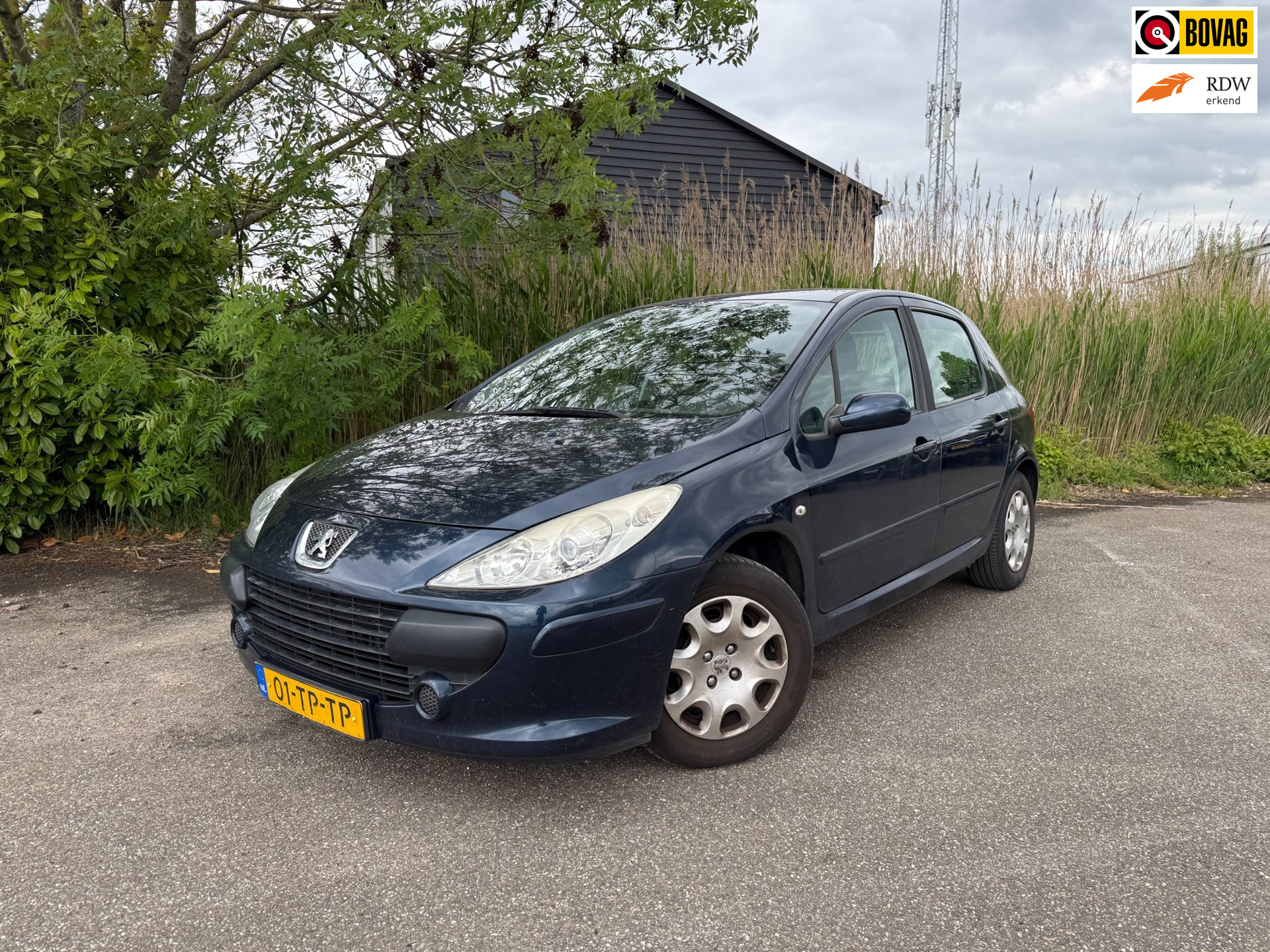 Peugeot 307