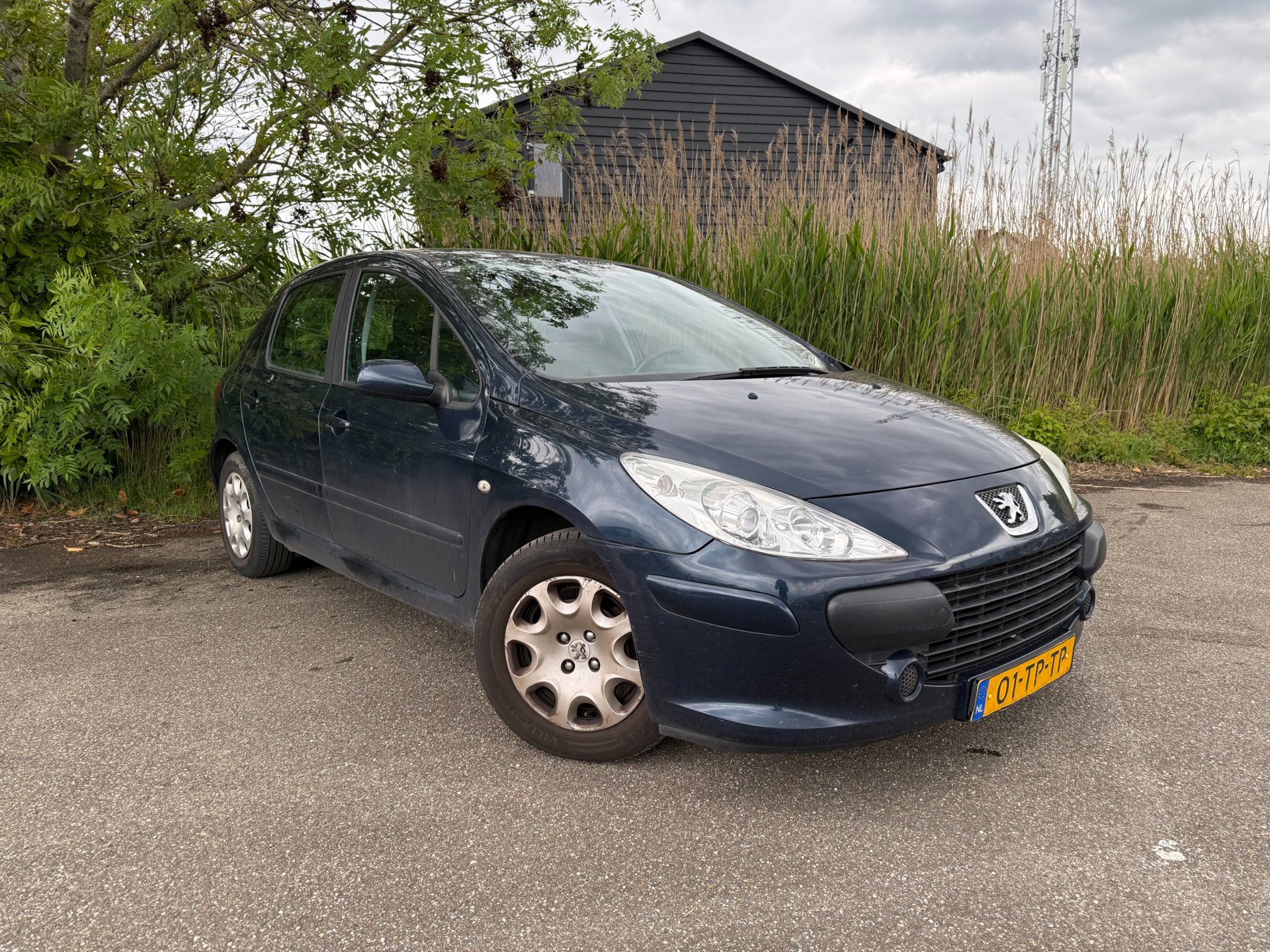 Peugeot 307